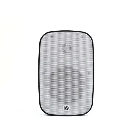 Купить AuraSonics DENSE-5T-WH по выгодной цене в Казани