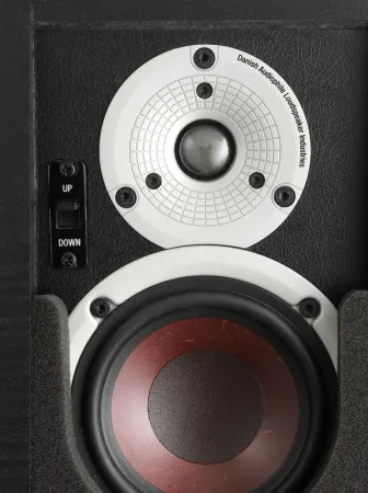 Купить DALI ALTECO C-1 [Black ASH] по выгодной цене в Казани