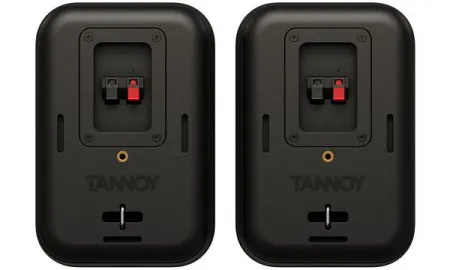 Купить TANNOY VMS 1 по выгодной цене в Казани