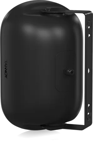 Купить Tannoy DVS 601 по выгодной цене в Казани