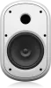 Купить Tannoy DVS 801-WH по выгодной цене в Казани