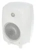 Genelec 8030CW