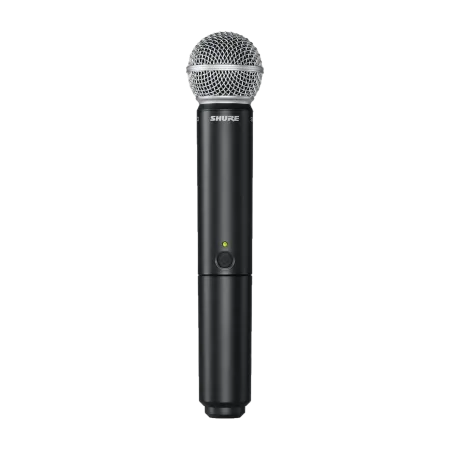 Купить SHURE BLX24E/SM58 M17 по выгодной цене в Казани