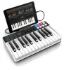 Купить IK MULTIMEDIA iRig Keys I/O 25 по выгодной цене в Казани