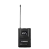 Купить Pasgao PAW-920 Rx_2x PBT-801 TxB по выгодной цене в Казани