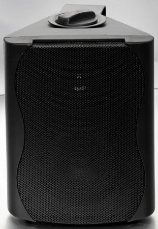 Купить SVS Audiotechnik WS-20 Black по выгодной цене в Казани