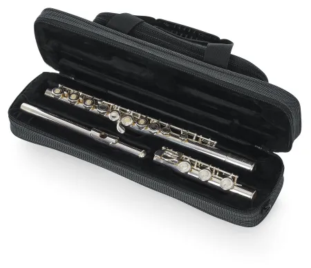 Купить GATOR GL-FLUTE-A по выгодной цене в Казани