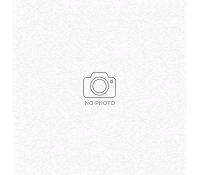 DiGiCo MOD-SD12-OPTO