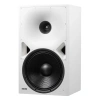 Купить Genelec 8380AW по выгодной цене в Казани