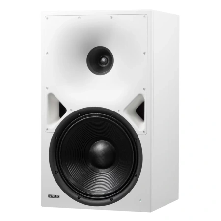 Купить Genelec 8380AW по выгодной цене в Казани