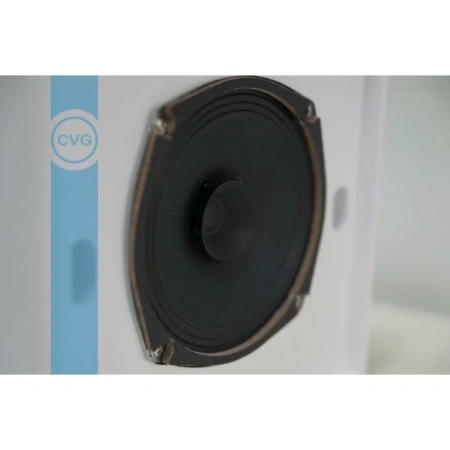 Купить CVGAUDIO WPS6T по выгодной цене в Казани