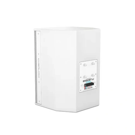 Купить CVGAUDIO BS808TW по выгодной цене в Казани