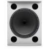 Купить TANNOY VX 15HP-WH по выгодной цене в Казани