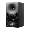 Купить Genelec 8380AP по выгодной цене в Казани