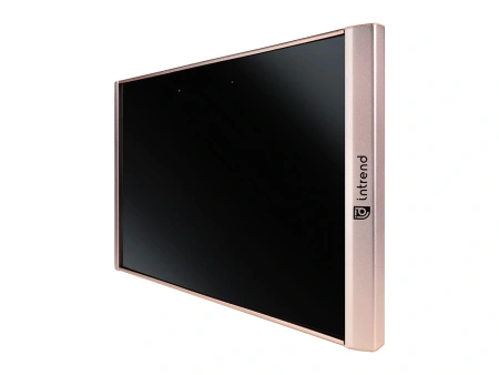 Купить Intrend ICS-IR-TX по выгодной цене в Казани