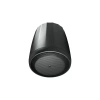 Купить JBL C65P/T по выгодной цене в Казани