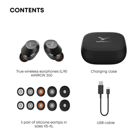Купить Beyerdynamic Amiron 300 Black по выгодной цене в Казани