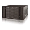 Купить DAS Audio UX-218 по выгодной цене в Казани
