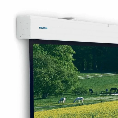 Купить Projecta Elpro Large Electrol 176 по выгодной цене в Казани