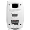 Купить Genelec 8361AW по выгодной цене в Казани