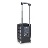 Купить LD Systems ROADBUDDY 10 HHD 2 B5 по выгодной цене в Казани