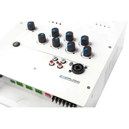 Купить CVGAUDIO ReBox T8-SM по выгодной цене в Казани