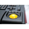 Купить PSL Lighting PSL-GM-2-2 по выгодной цене в Казани