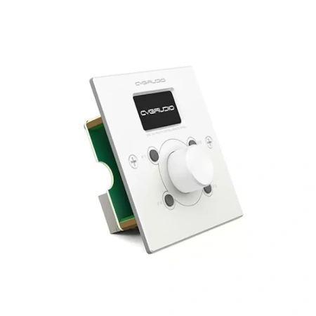 Купить CVGAUDIO ERC-2W по выгодной цене в Казани