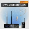 Купить Октава OWS-U1200D01L02B plus по выгодной цене в Казани