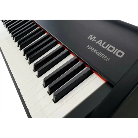 Купить M-audio Hammer 88 по выгодной цене в Казани