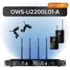 Купить Октава OWS-U2200L01-A по выгодной цене в Казани