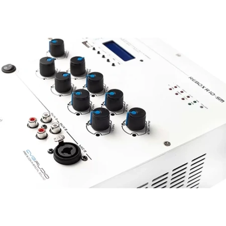 Купить CVGAUDIO ReBox R10-SM по выгодной цене в Казани