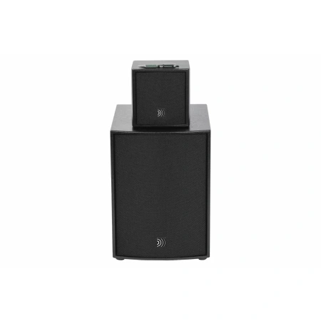 Купить DS Proaudio ANT по выгодной цене в Казани