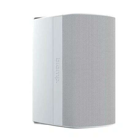 Купить Biamp Desono DX-S5-UB-W White по выгодной цене в Казани