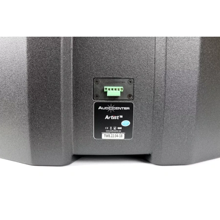 Купить Audiocenter Artist TW8 по выгодной цене в Казани