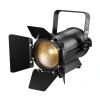 Купить I LIGHTING IL-LED Fresnel 100BC по выгодной цене в Казани