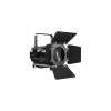 Купить LightCraft Fresnel 300 ZOOM CW+WW по выгодной цене в Казани