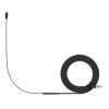 Купить SENNHEISER HSP ESSENTIAL OMNI-BLACK-3-PIN по выгодной цене в Казани