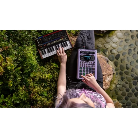 Купить ROLAND SP-404MKII по выгодной цене в Казани