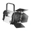Купить ANZHEE PRO Spectrum Fresnel F 300 по выгодной цене в Казани