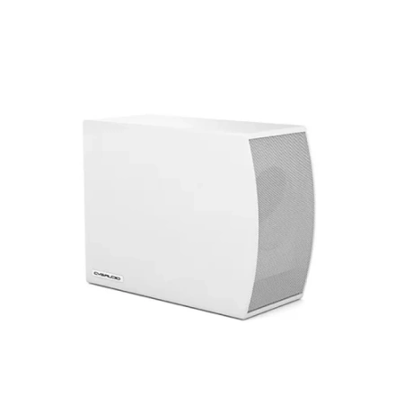 Купить CVGAUDIO SUBone model C-6W/CR/T по выгодной цене в Казани