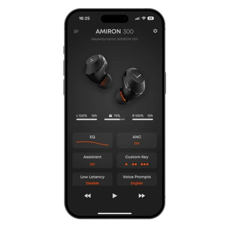 Купить Beyerdynamic Amiron 300 Black по выгодной цене в Казани